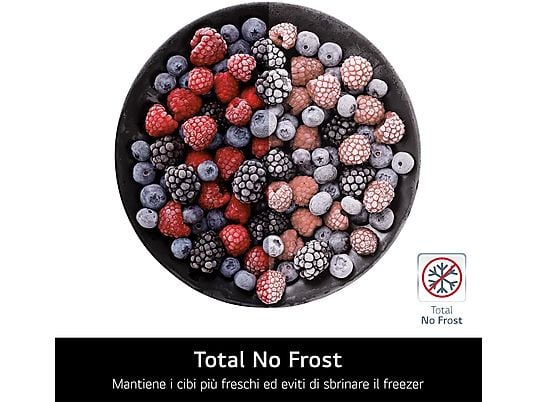 LG GBV7280AEV FRIGORIFERO COMBINATO - obrazek 8